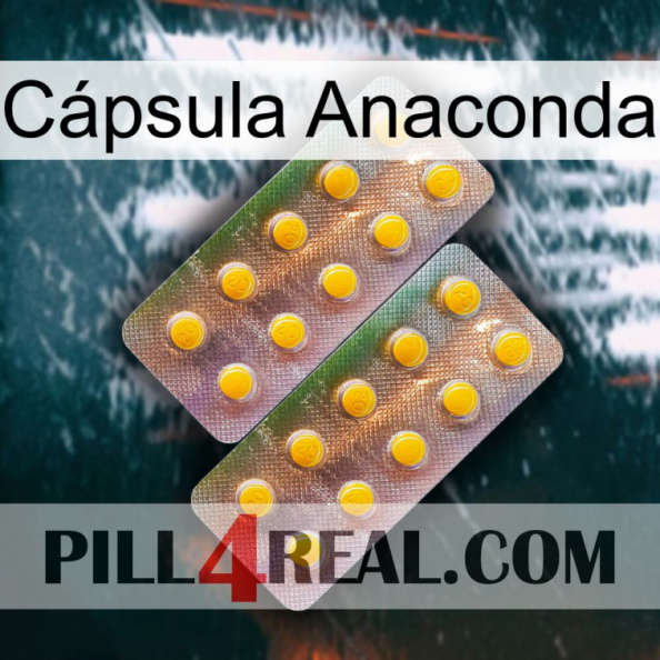 Cápsula Anaconda new10.jpg